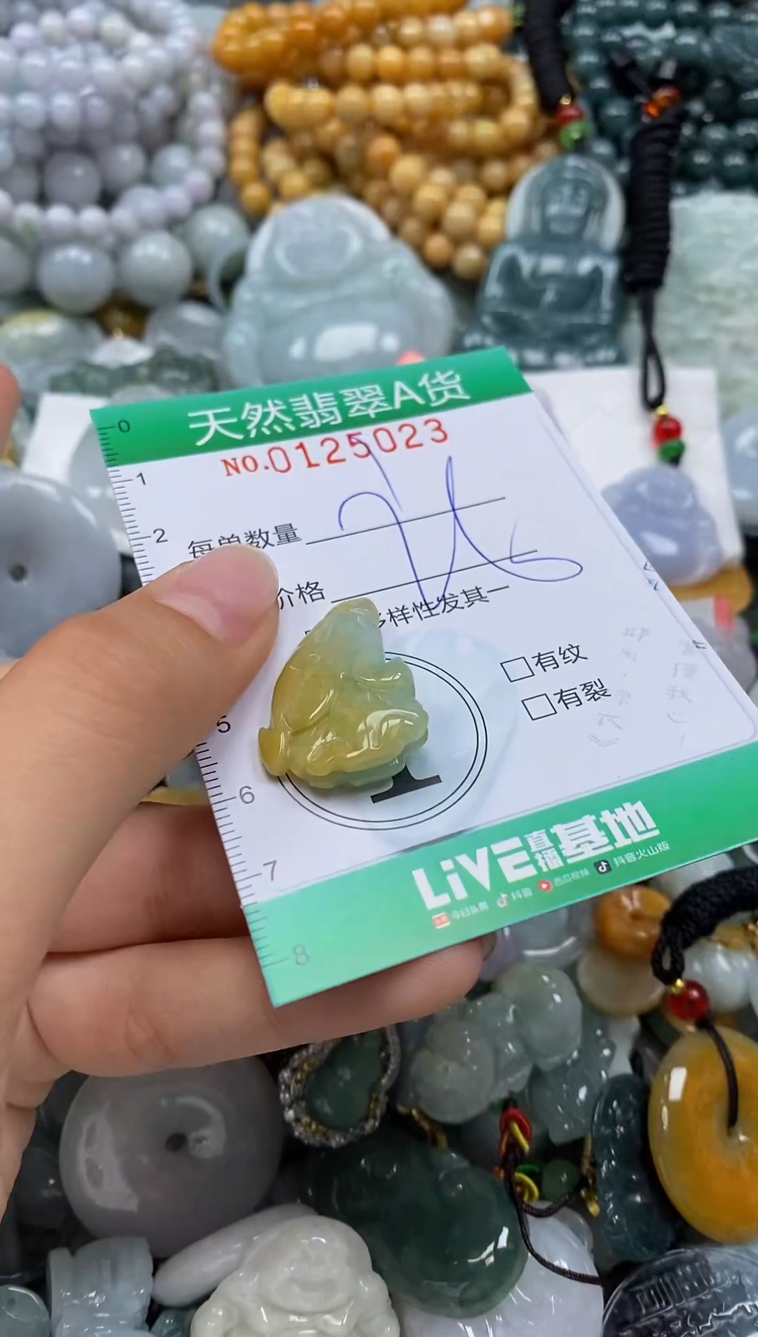 翡翠未镶嵌颈饰闪购01205023