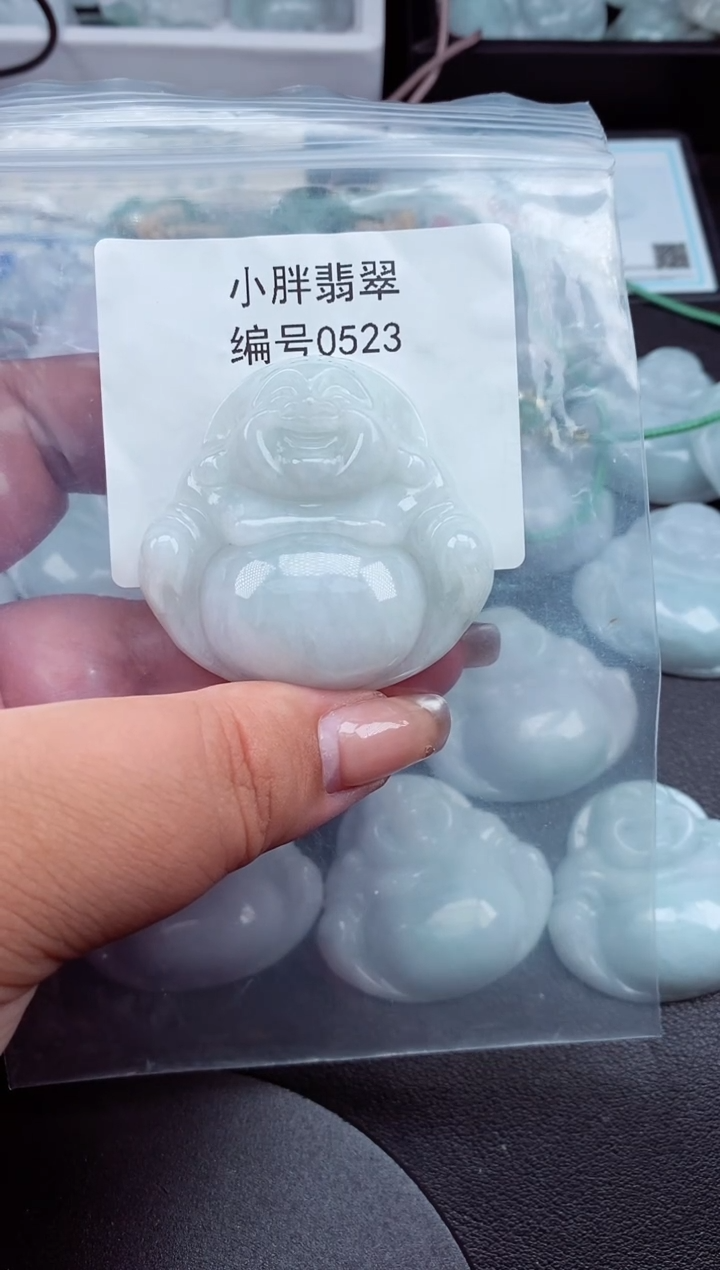 翡翠未镶嵌颈饰缅甸天然A货翡翠0523