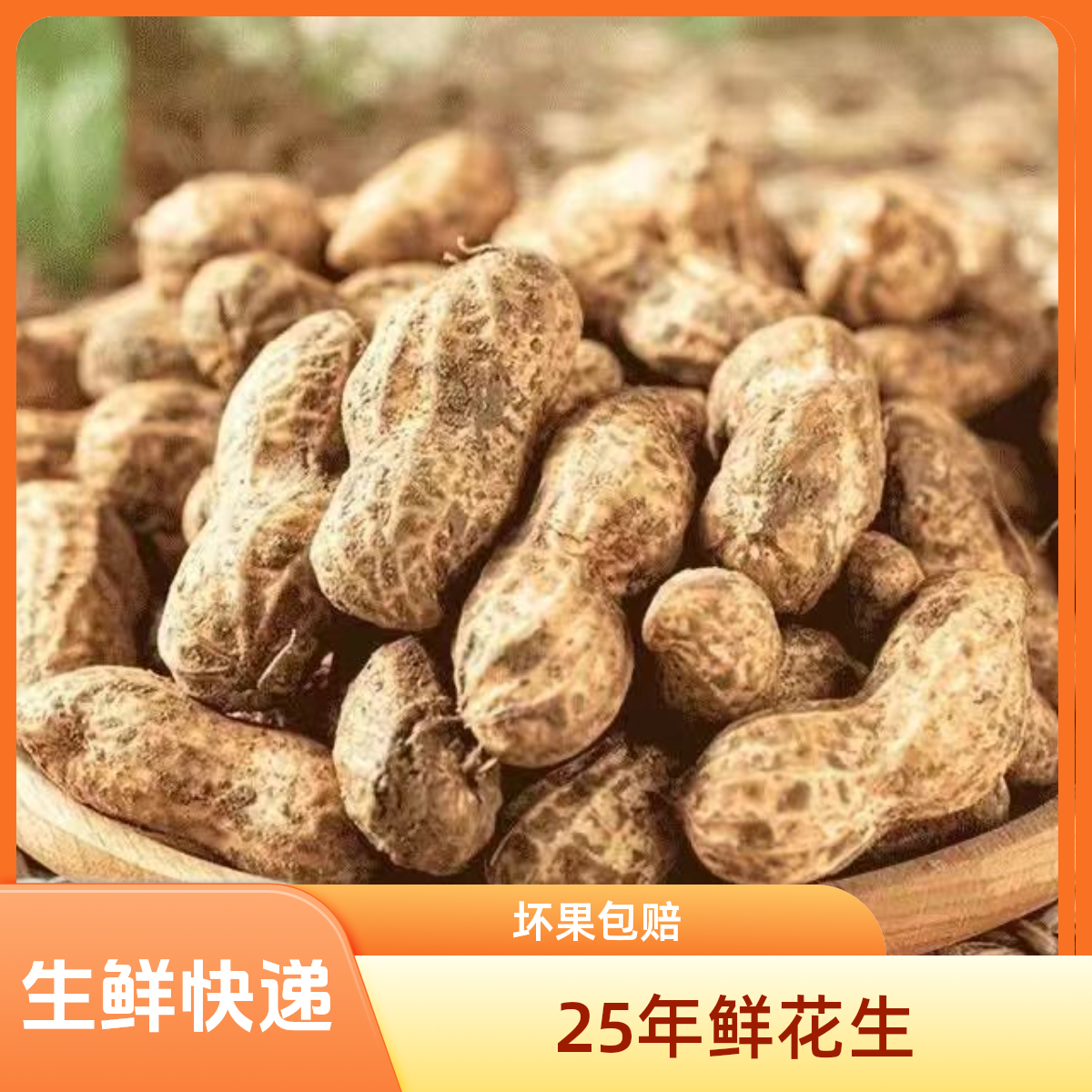 【生鲜快递】25年新鲜粉皮湿花生脆甜现挖现发带壳新花生产地直发