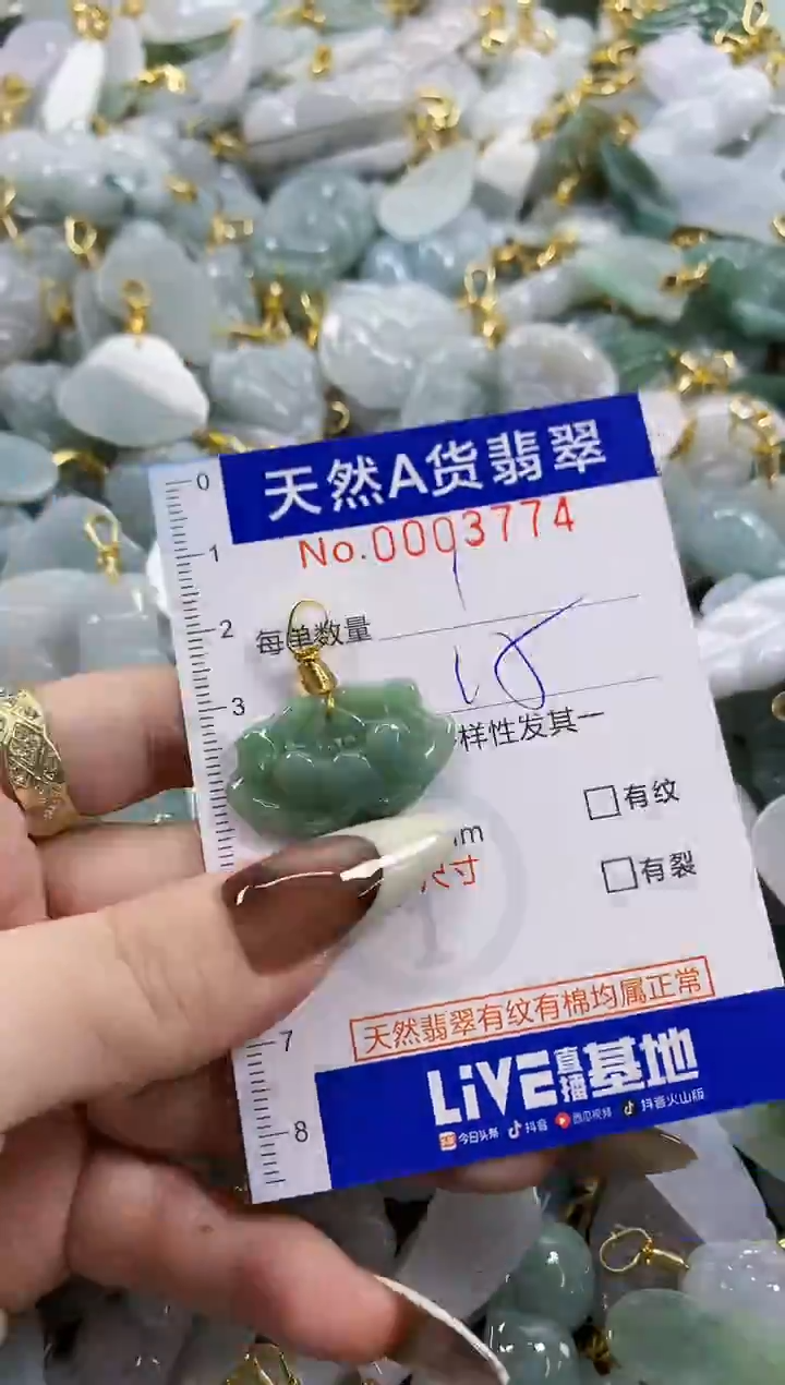 颈饰未镶嵌翡翠天然A货翡翠