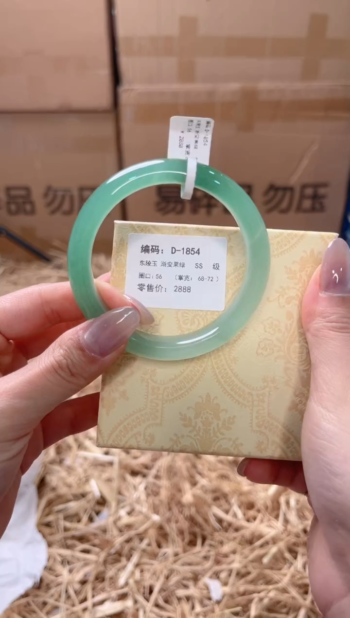 未镶嵌手镯石英质玉D-1854