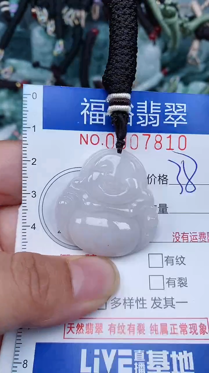 【闪购商品】翡翠颈饰未镶嵌...0007810