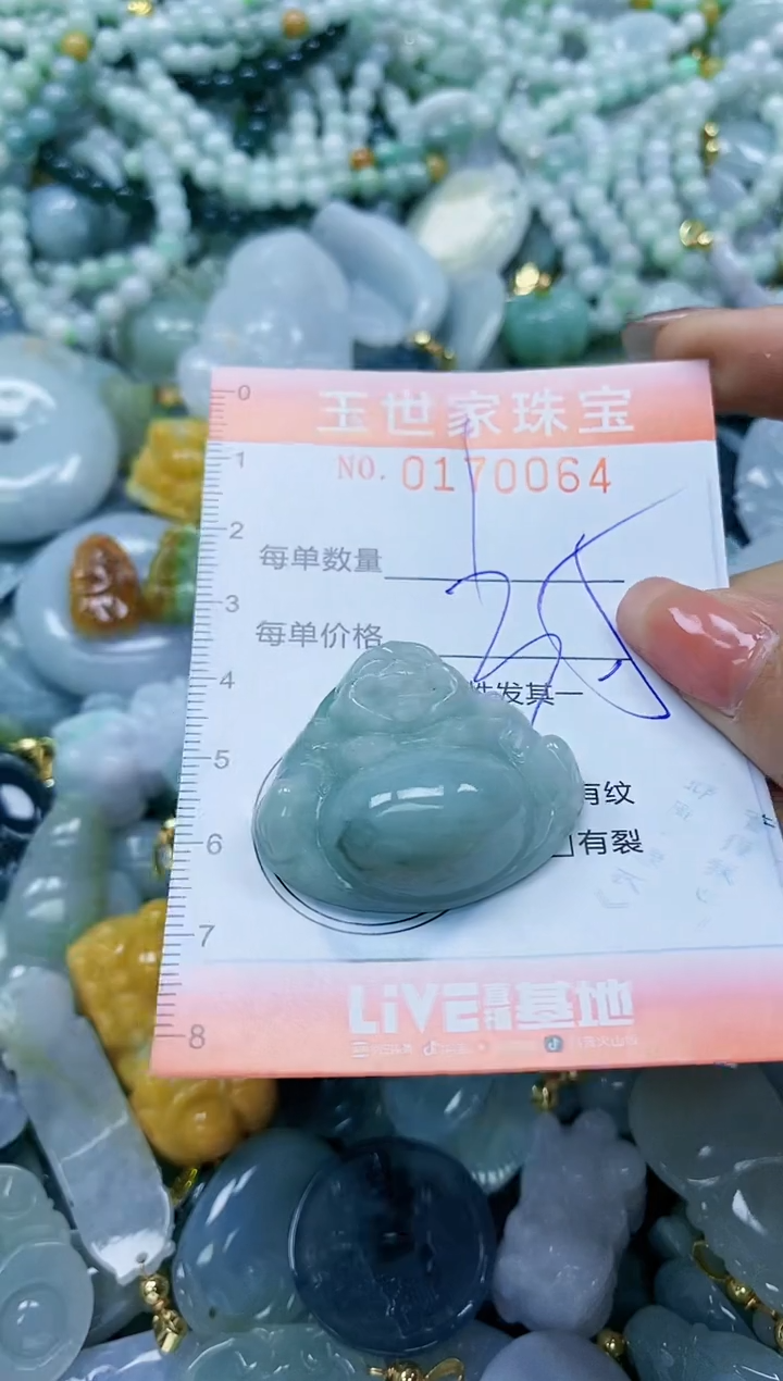 【闪购商品】翡翠颈饰未镶嵌闪购0170064