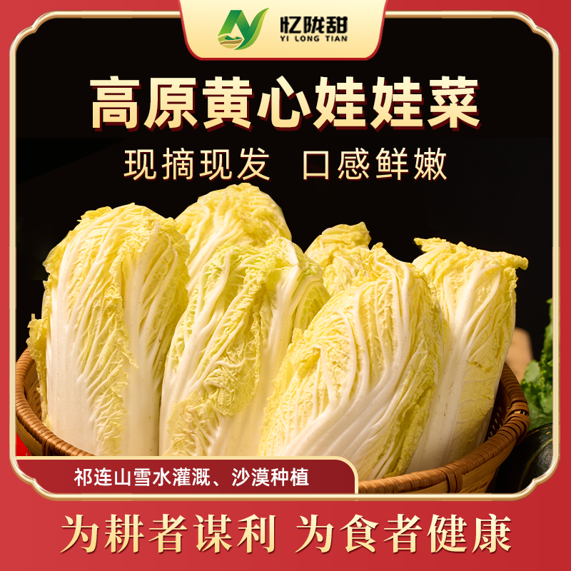 甘肃高原黄心娃娃菜蔬菜产地直发5斤装顺丰包邮
