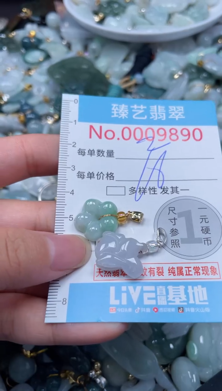 颈饰未镶嵌翡翠9890