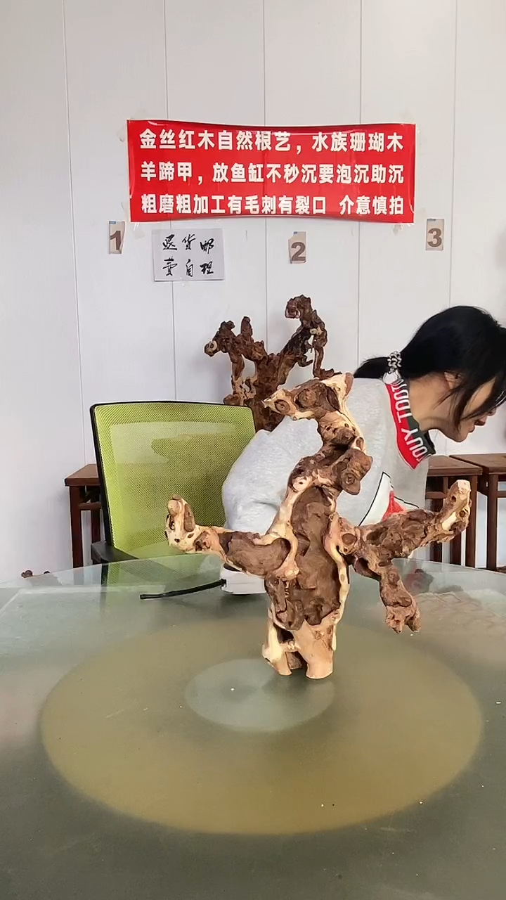 木英*金丝红木 羊蹄甲