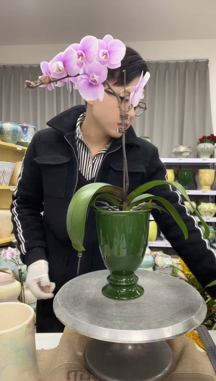 【12.19】花盆链接 高：17  口：11