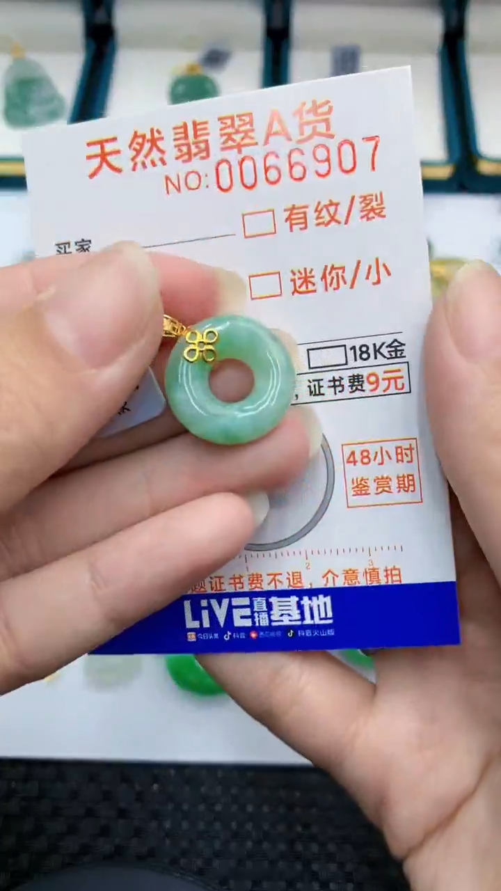 【闪购商品】翡翠颈饰18K金镶嵌            8