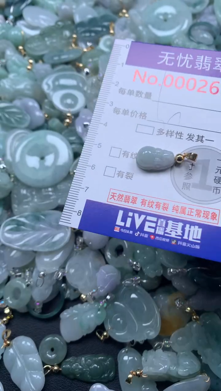 颈饰未镶嵌翡翠2652
