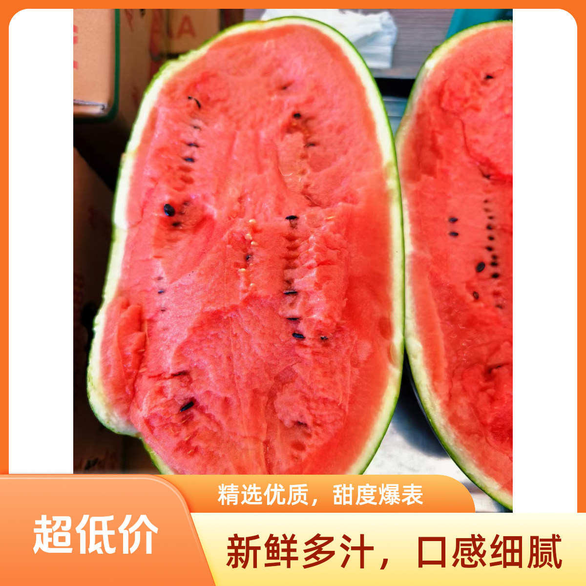 【黑美人西瓜】干瓜篮子特价品 9.99一个！约6斤左右一个！甜甜甜！【好东西】新疆维吾尔自治区