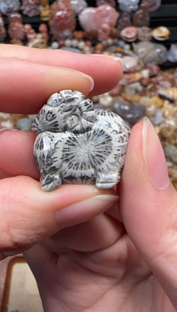 颈饰未镶嵌硅化珊瑚（珊瑚玉）156