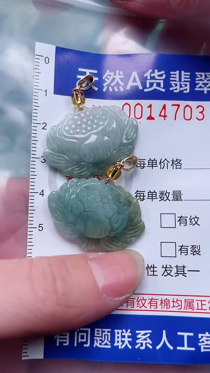 翡翠未镶嵌吊坠(赠链)1
