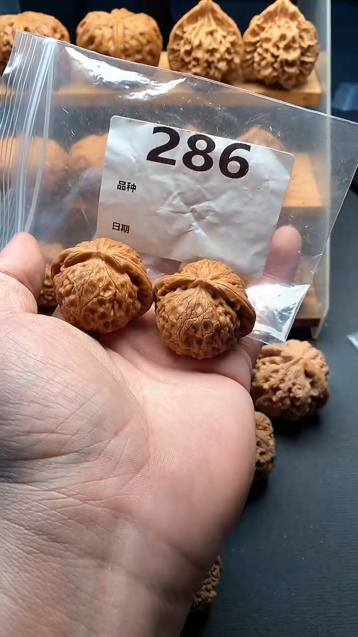 【闪购商品】文玩核桃吊坠286号42尺寸全品宫灯