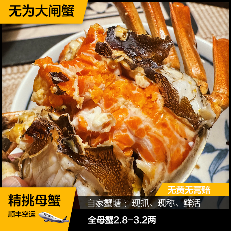 【活蟹】无为大闸蟹大螃蟹全母蟹（2.9-3.2）两6-10只鲜活螃蟹