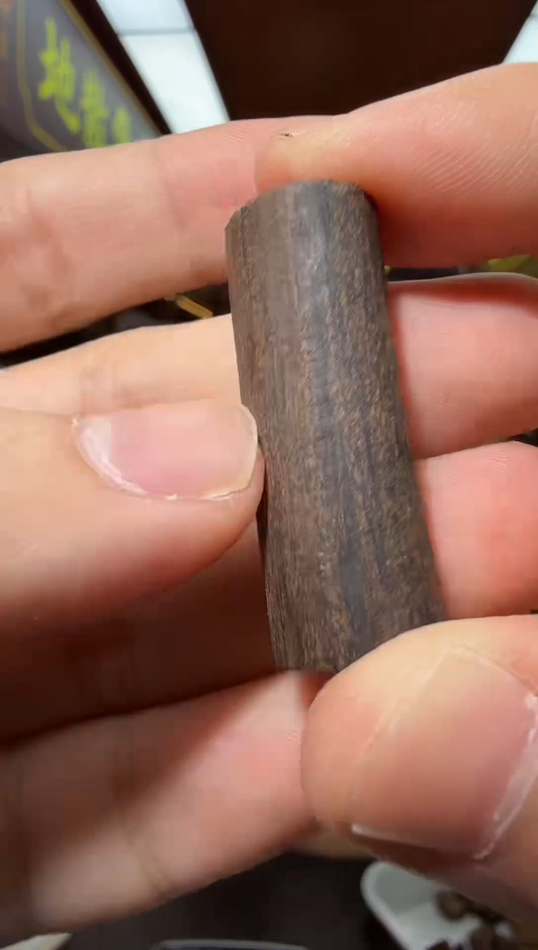 沉香吊坠29号文莱多样性发一