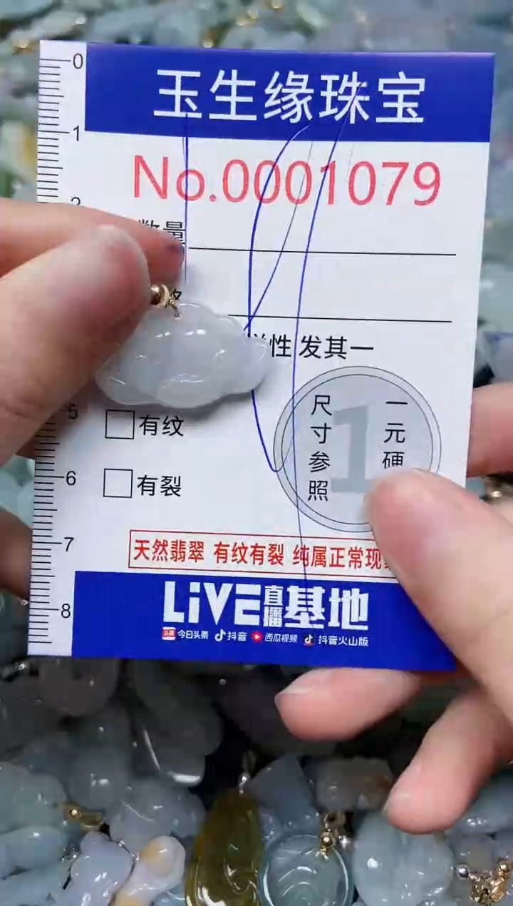 【闪购商品】翡翠颈饰未镶嵌闪购00001079