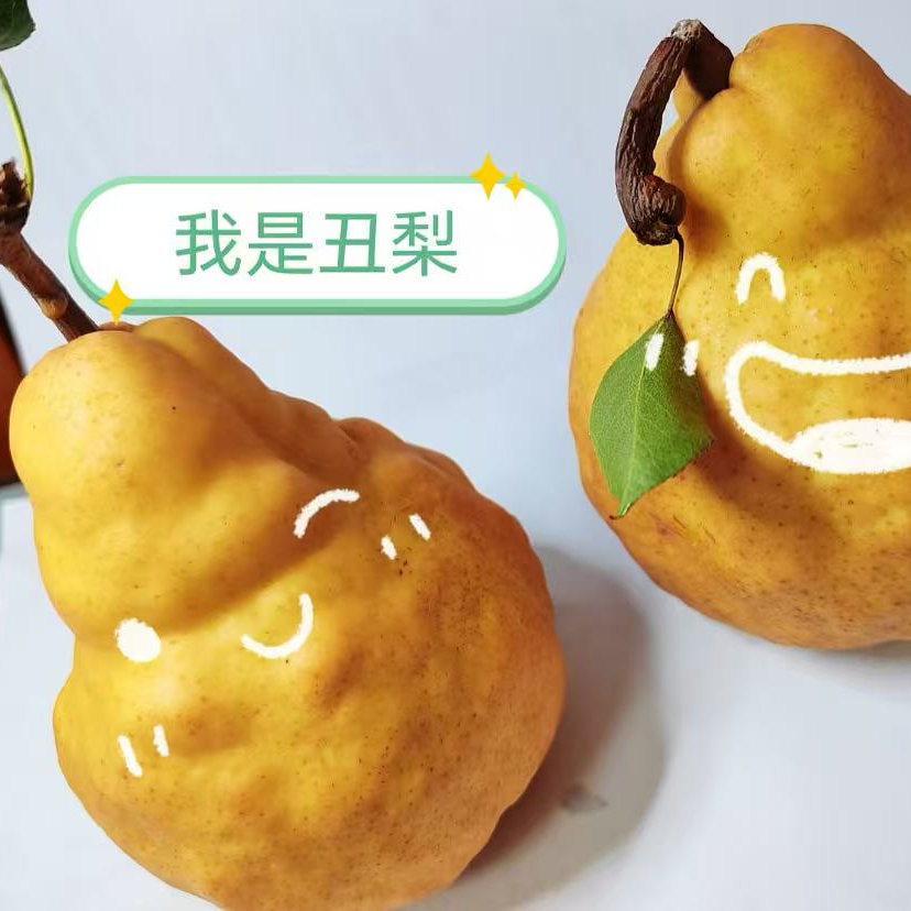 中华丑梨3斤/新鲜当季水果软糯多汁/山东特头茬树熟山东省