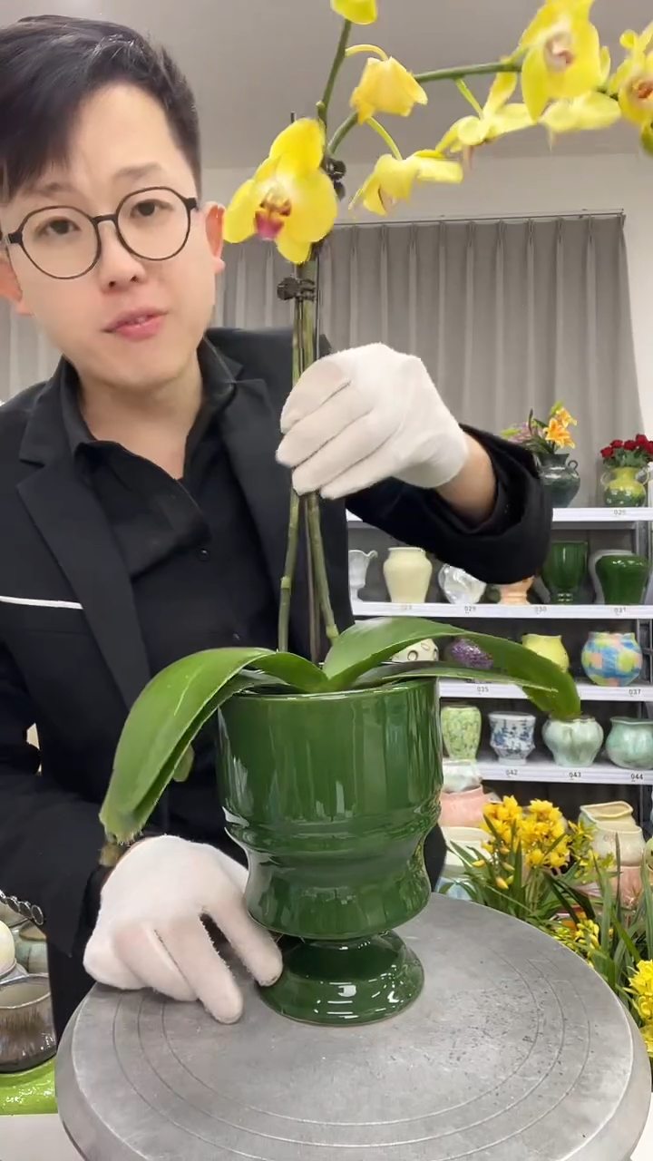 12.5陶瓷花盆直播链接高.      口    