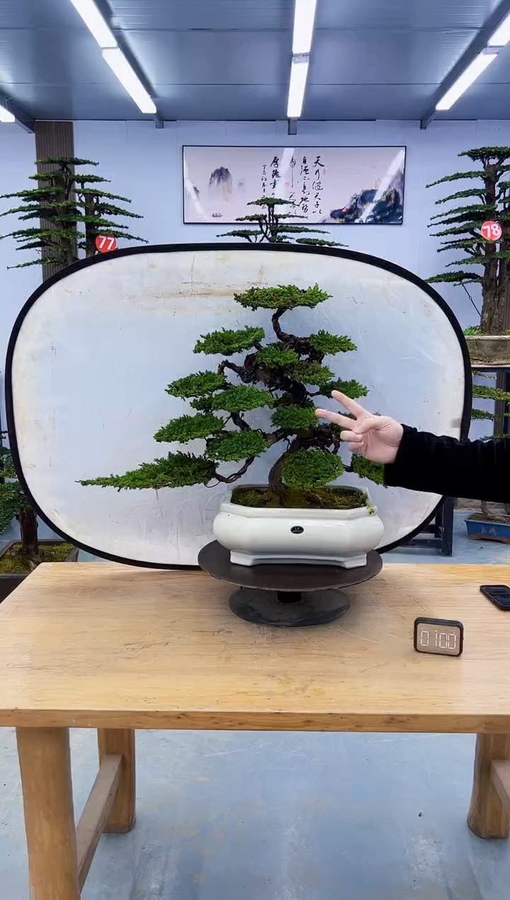 以实际为准0000000000