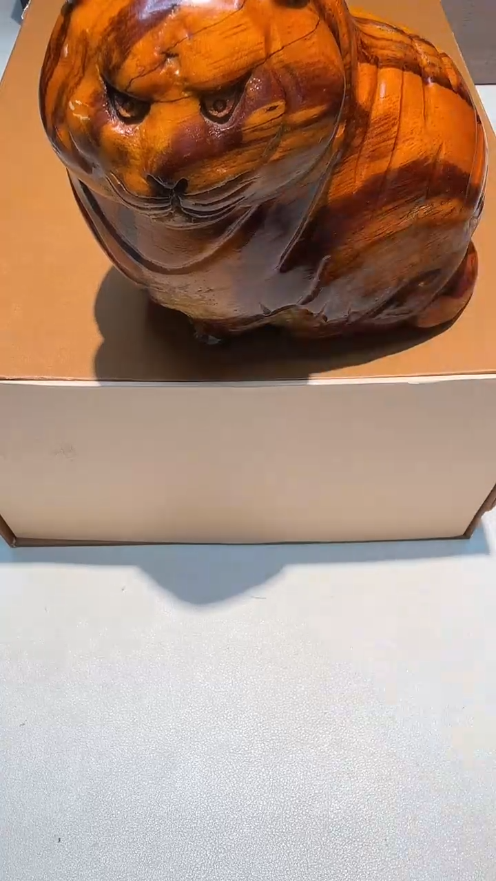 都是大宝贝儿都是大漂亮****801