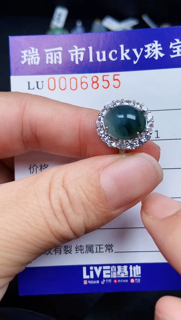 翡翠银S925镶嵌颈饰6855