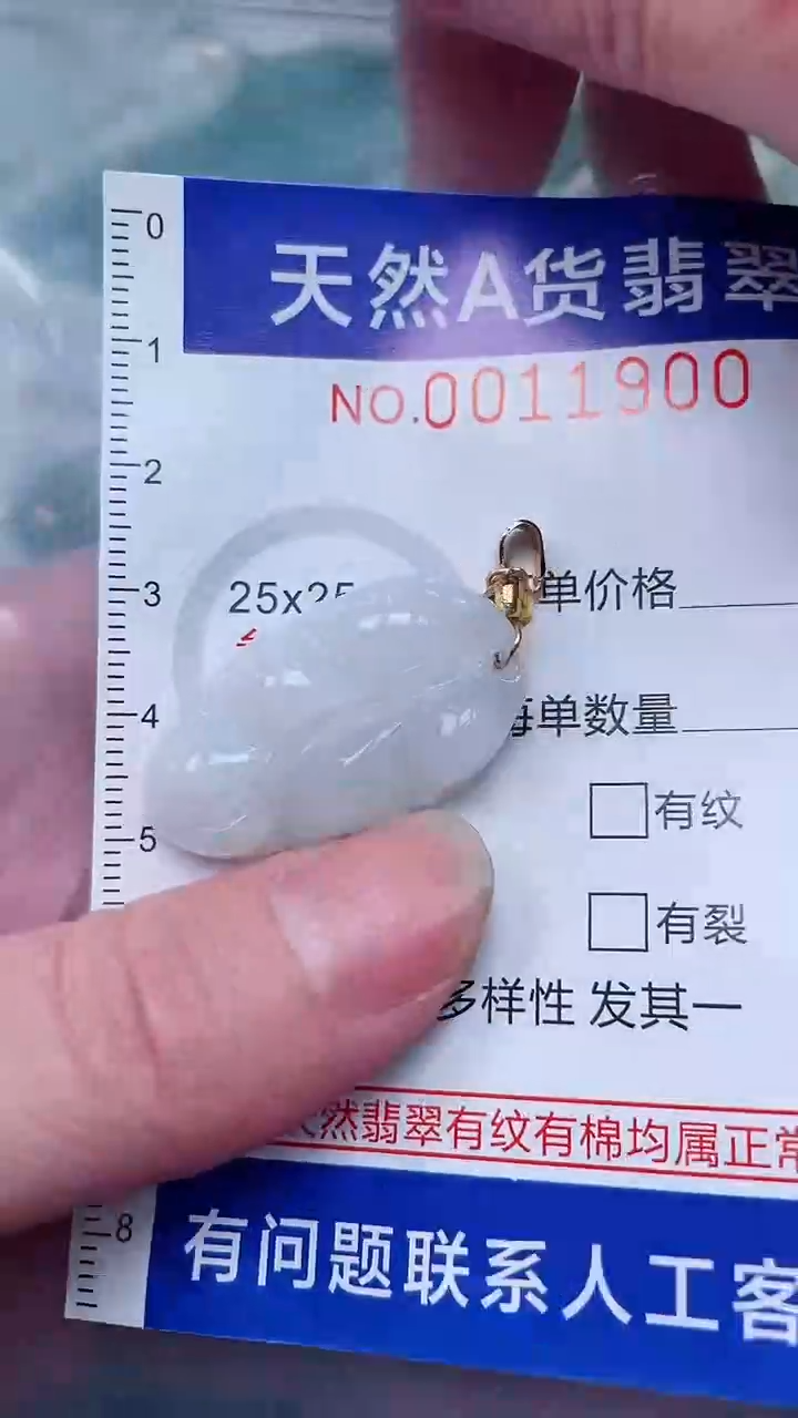 翡翠未镶嵌吊坠(不含链)1