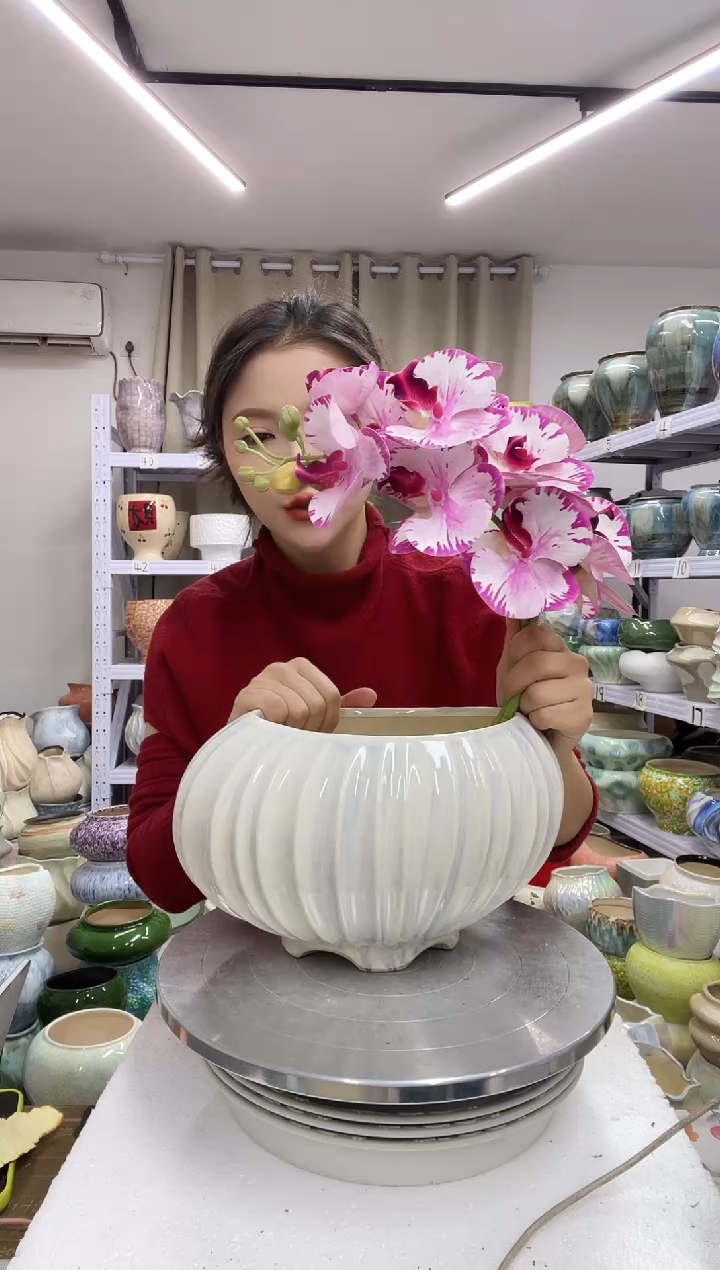 【1.3】花盆尺寸高：17 口：17