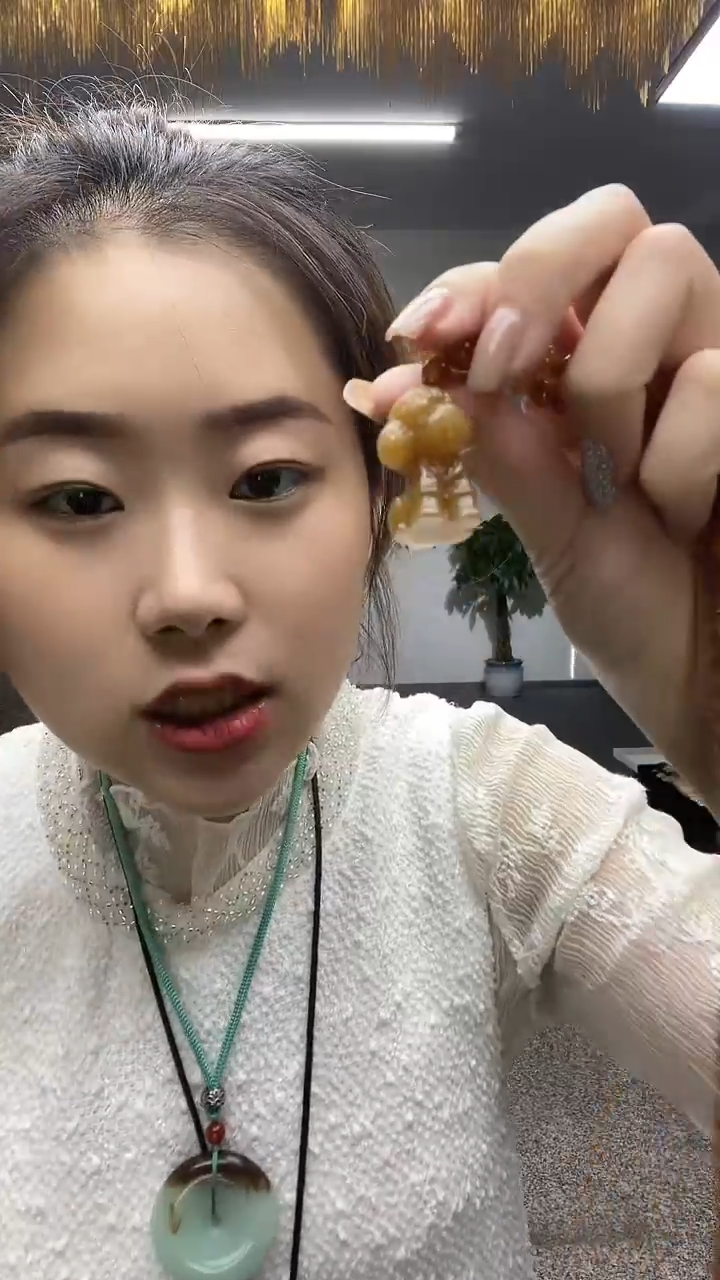 糖泰迪狗多样性发货一