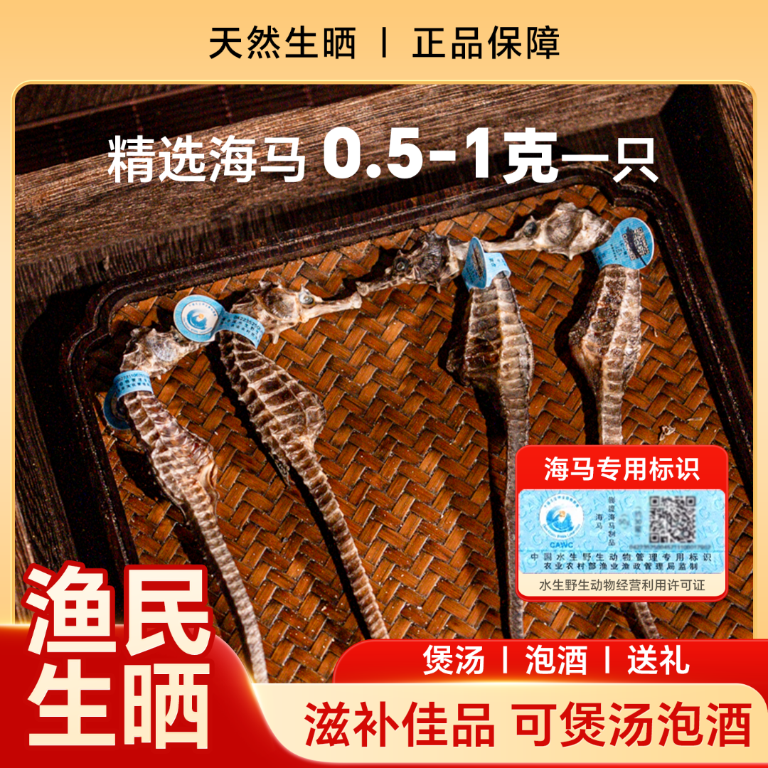 A级正品天然生晒海马公母配对干货可炖汤可泡酒男女通用