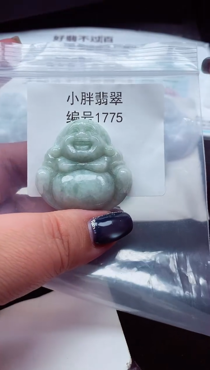 颈饰未镶嵌翡翠缅甸天然A货翡翠1775