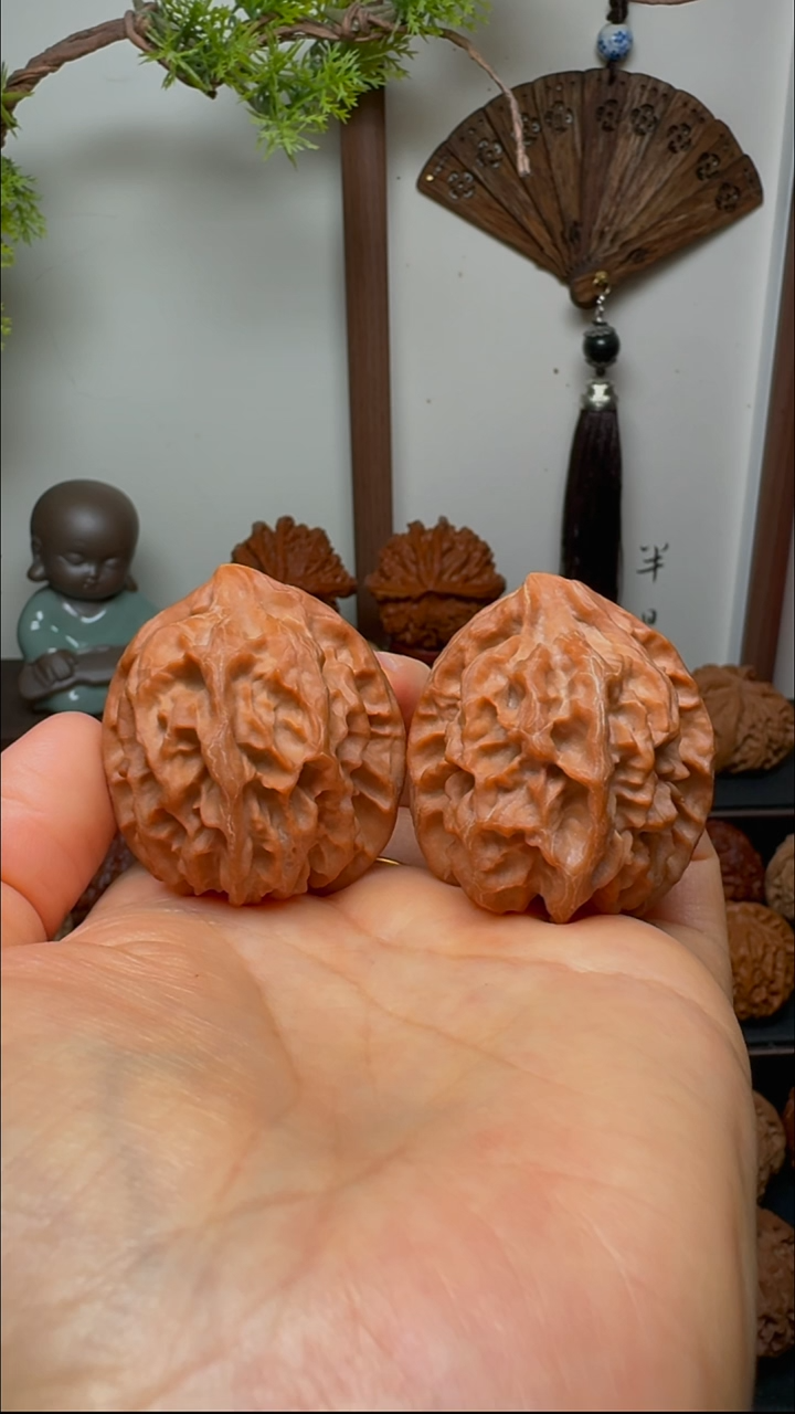 把件文玩核桃曹大龙异形鹰嘴货头 肚40