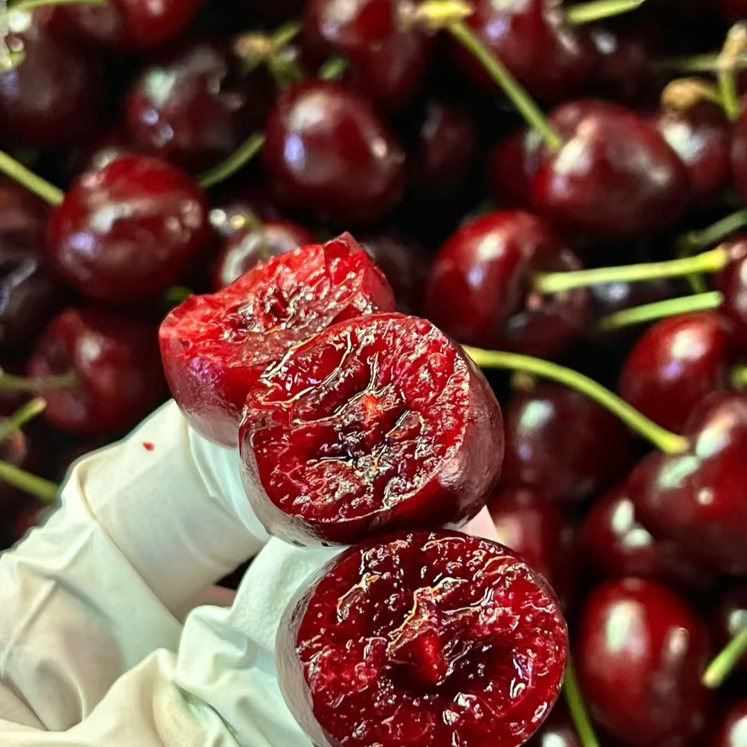 3JD波板海运桑提娜 车厘子5斤内附果径卡桑提娜智利