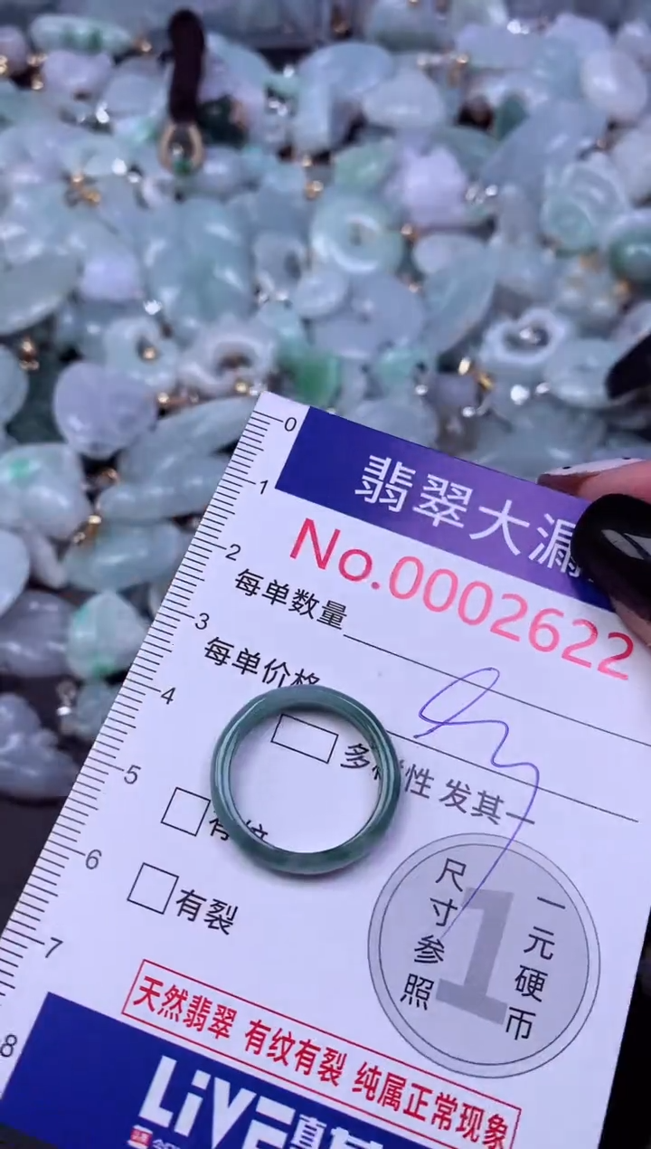 颈饰未镶嵌翡翠2622