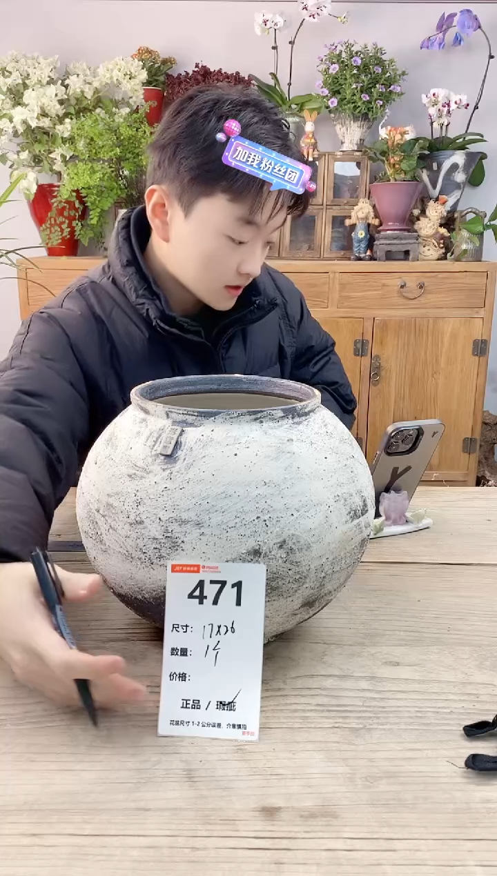 小玩子花盆直播编号471