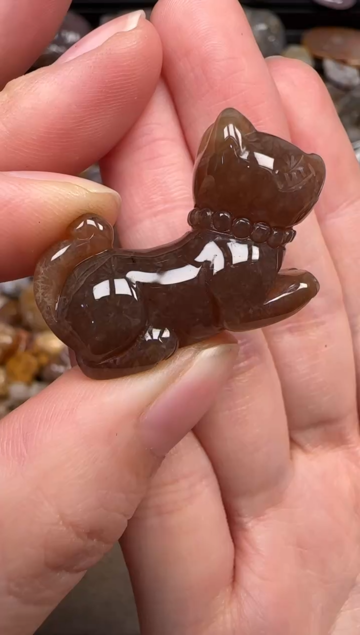 硅化珊瑚（珊瑚玉）未镶嵌颈饰648