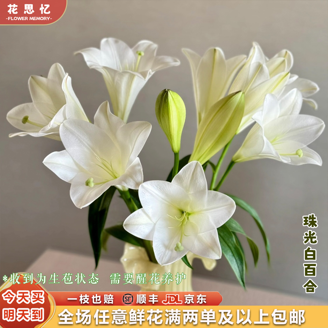 『次日达·珠光白百合8-9朵』不少于3枝 云南鲜切花 满两单鲜花顺丰京东包邮满三单送花瓶 直播次日达