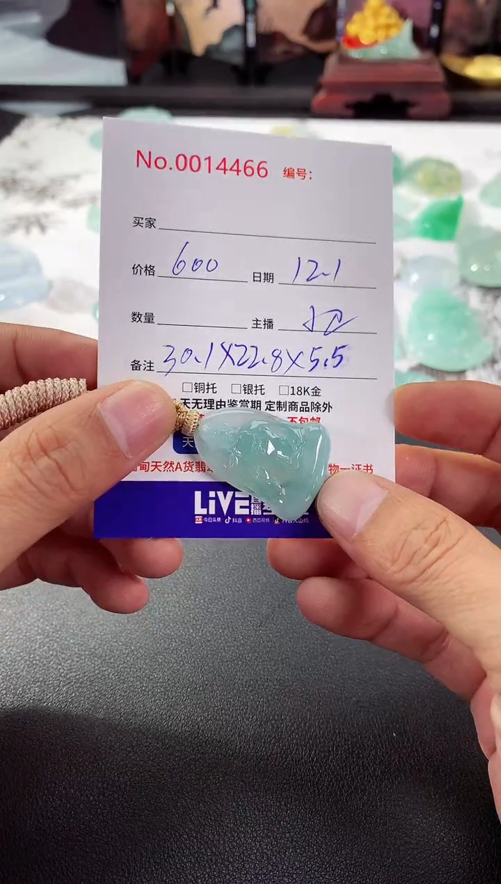 颈饰未镶嵌翡翠H****6素衣