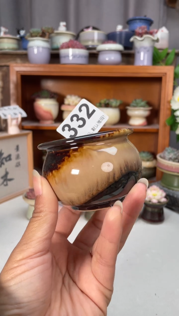瓷片332知木小芳花盆
