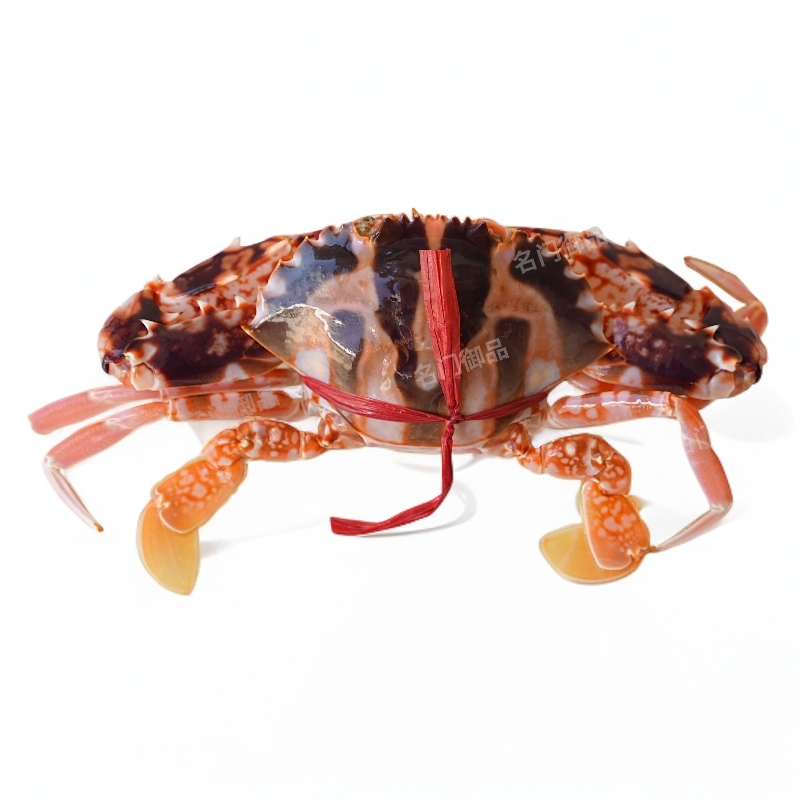 【小花蟹】【保鲜不保活】或有断脚 福建省内可拍有1两以上一只按斤