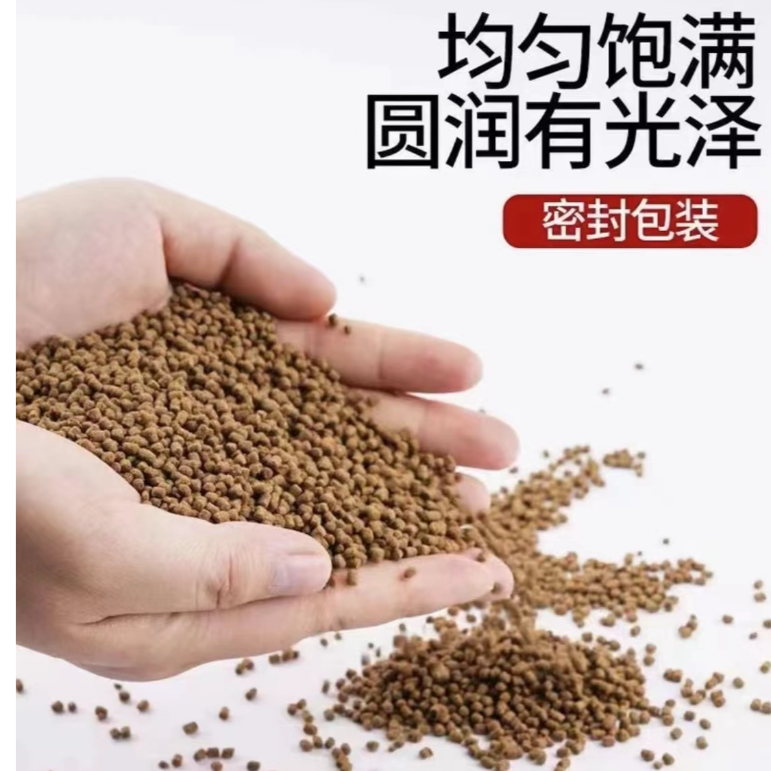 高蛋白鱼饲料蝴蝶鱼粮蝴蝶鲤增白增体上浮通用鱼粮发尾颗粒型