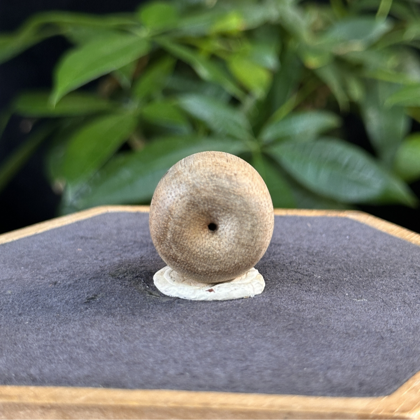 GXCX-3981 文莱沉香平安扣3.9g 约：24*19mm