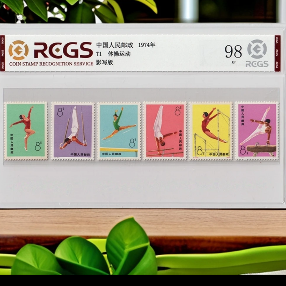 T1 体操邮票新票一套 收藏邮票
