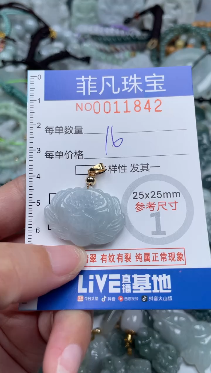 颈饰未镶嵌翡翠11842