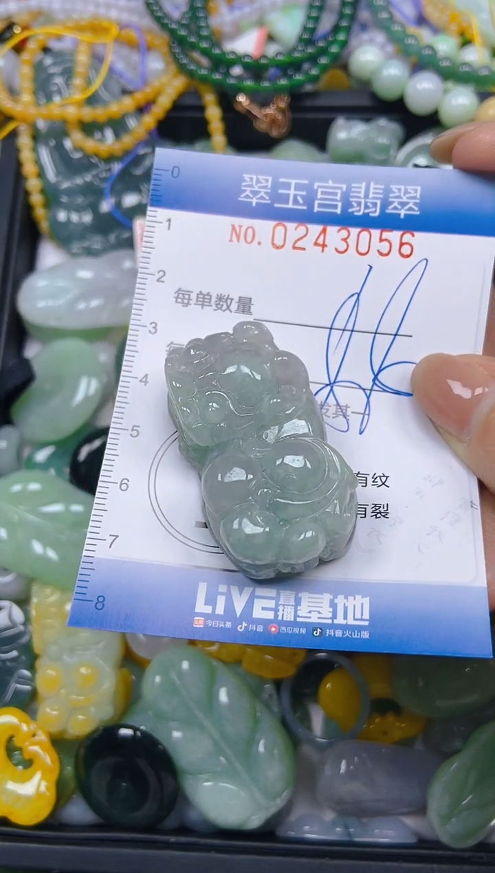 颈饰未镶嵌翡翠闪购C0243056