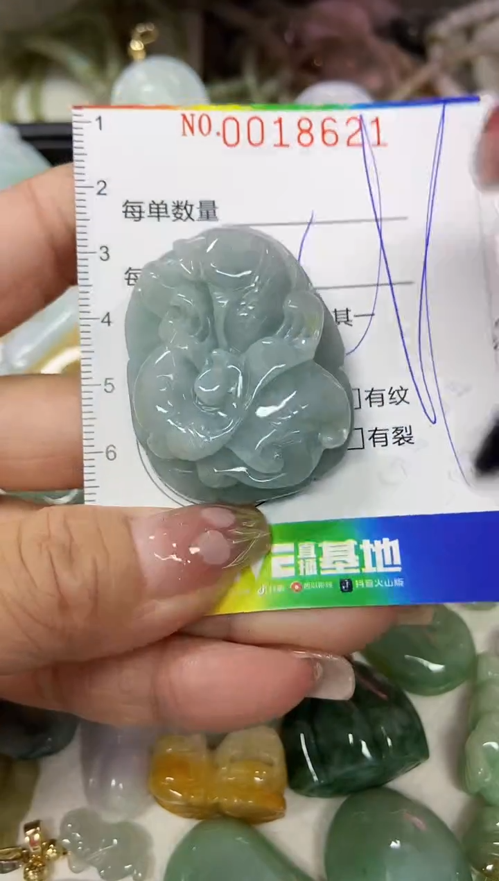 【闪购商品】翡翠颈饰未镶嵌闪购0018621