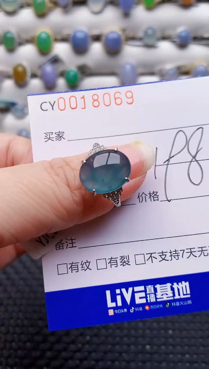 颈饰银S925镶嵌翡翠8069