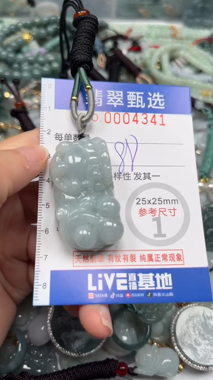 【闪购商品】翡翠颈饰未镶嵌00..4341