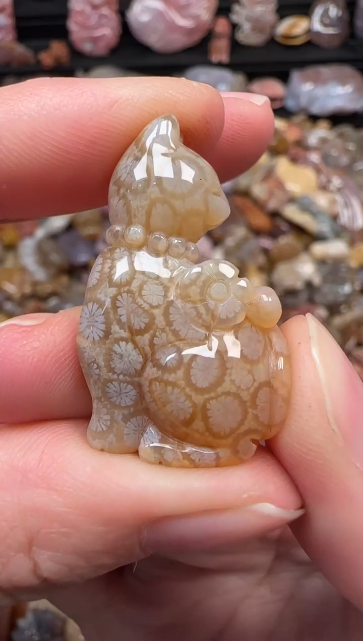 颈饰未镶嵌硅化珊瑚（珊瑚玉）603