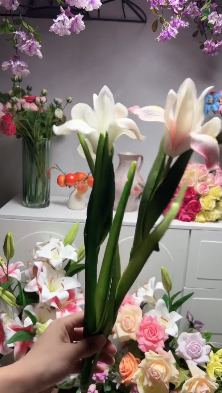 1枝白色1枝粉色鸢尾花花