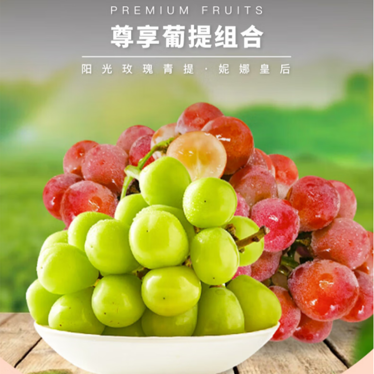 至尊组合阳光玫瑰妮娜皇后葡萄苗庭院阳台种植果树南北方均可定植